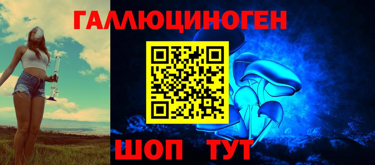 Галлюциногенные грибы Psilocybine cubensis  Вход с VPN  Кинель  Галлюциногенные грибы GOLDEN TEACHER 