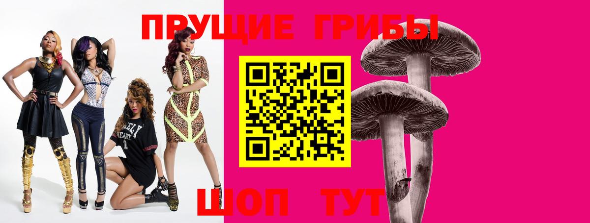 Псилоцибиновые грибы мицелий Кинель